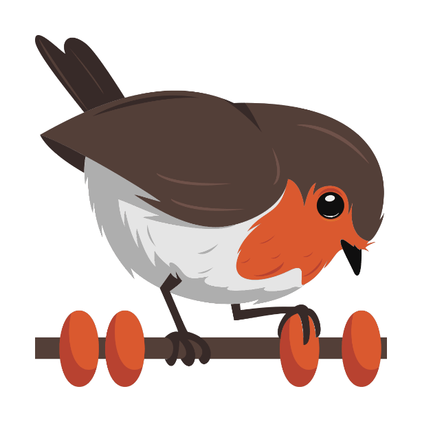 rotki